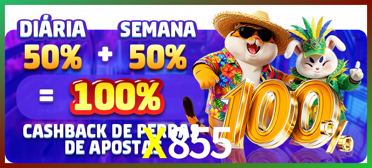 Qualificar VIP X855